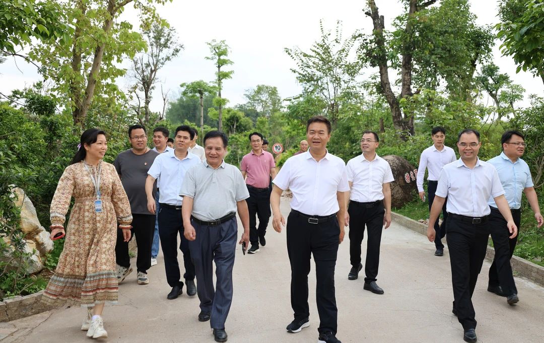 桂平市市长黄德佳等领导到我校指导工作 丨 华体会网页版-华体会网页版（中国）